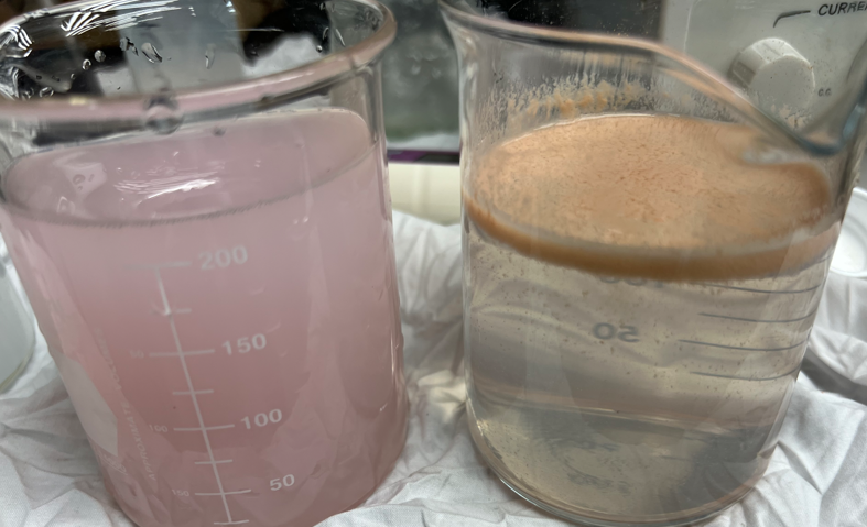 Plating (Untreated (L); Treated (R)).