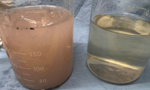 Food Processing (Untreated (L), Treated (R)).