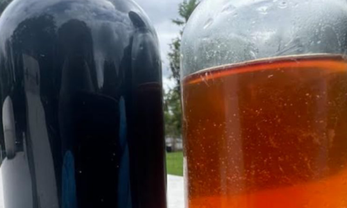 Rich Amine Recovery (Untreated (L); Treated (R)).